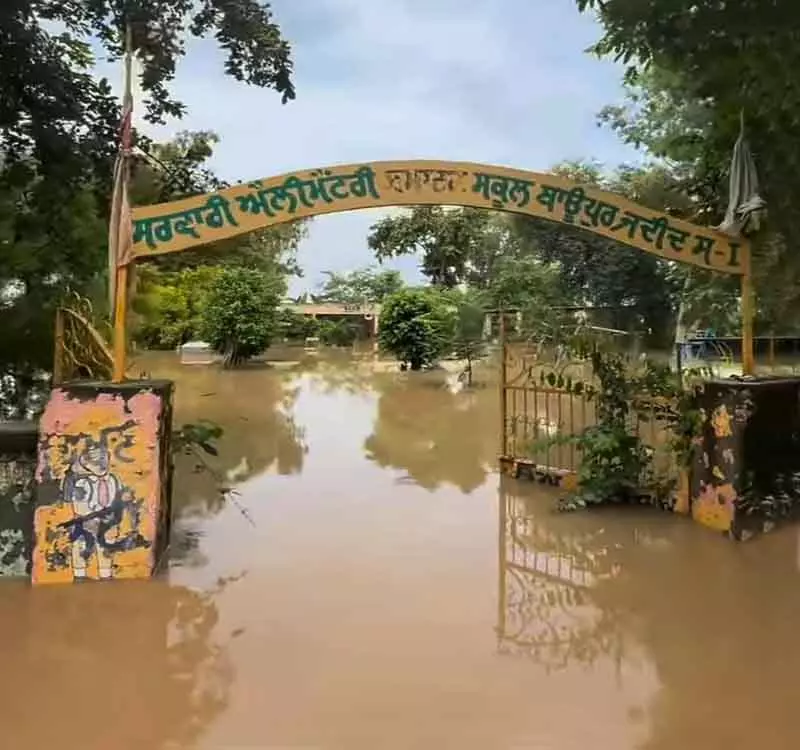 Punjab में बाढ़ से 300 से अधिक स्कूल प्रभावित, शिक्षा विभाग नुकसान का आकलन कर रहा Punjab में बाढ़ से 300 से अधिक स्कूल प्रभावित, शिक्षा विभाग नुकसान का आकलन कर रहा