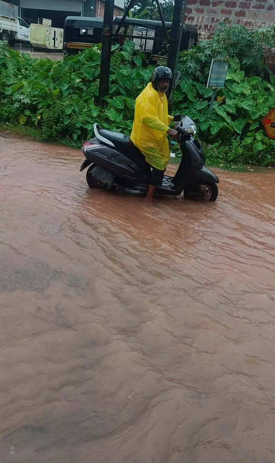 मैंगलोर भारी बारिश: गणेशोत्सव समारोह में खलल मैंगलोर भारी बारिश: गणेशोत्सव समारोह में खलल