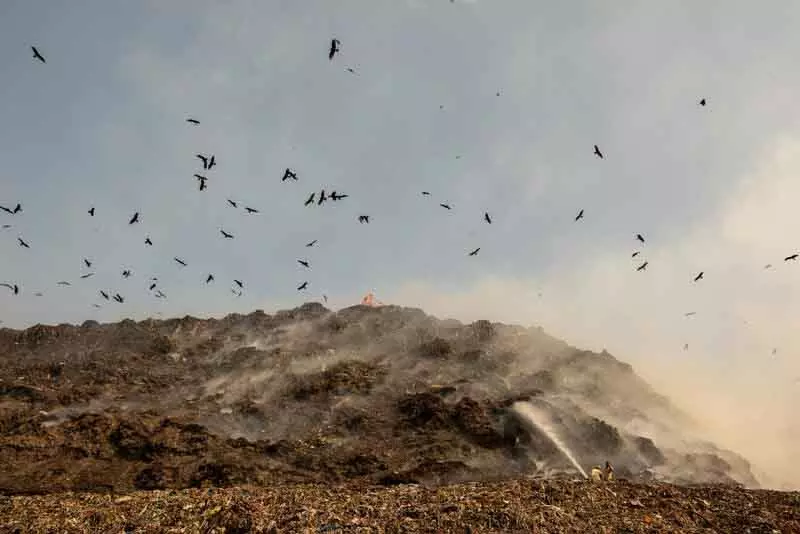नई परियोजनाओं के लिए डंपिंग स्थलों की पहचान करें हिमाचल प्रदेश: HC नई परियोजनाओं के लिए डंपिंग स्थलों की पहचान करें हिमाचल प्रदेश: HC