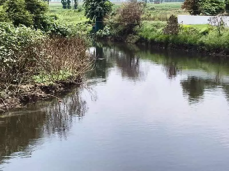 किसानों ने Nakodar के गांवों को जोड़ने के लिए प्रदूषित चिट्टी बेईं पर पुल बनाने की मांग की किसानों ने Nakodar के गांवों को जोड़ने के लिए प्रदूषित चिट्टी बेईं पर पुल बनाने की मांग की