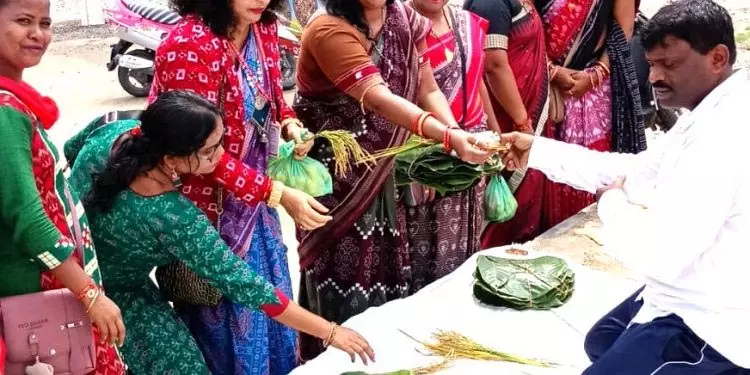 Sambalpur कृषि पद्धति में बदलाव से सरिया धान की आपूर्ति घटी Sambalpur कृषि पद्धति में बदलाव से सरिया धान की आपूर्ति घटी