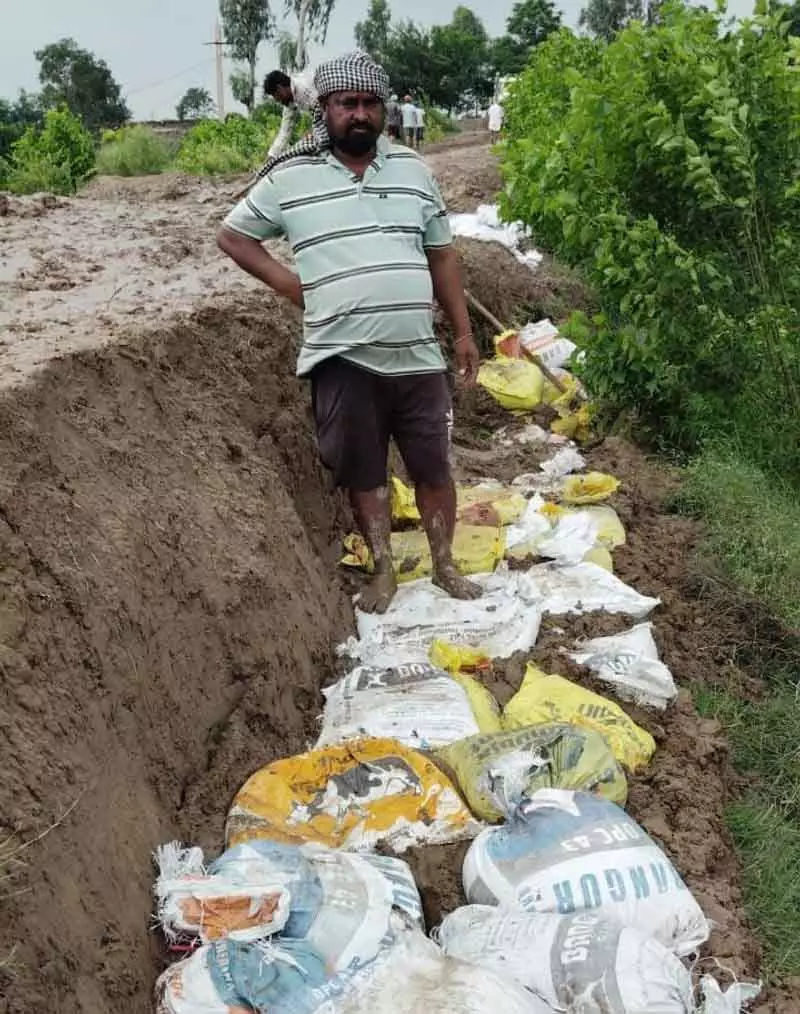 Jalandhar के शाहकोट क्षेत्र के ग्रामीण बाढ़ के खतरे से तटबंधों की रक्षा के लिए अथक प्रयास कर रहे Jalandhar के शाहकोट क्षेत्र के ग्रामीण बाढ़ के खतरे से तटबंधों की रक्षा के लिए अथक प्रयास कर रहे