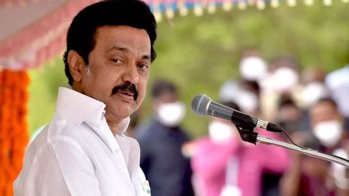 Tamil Nadu : मुख्यमंत्री स्टालिन ने नल्लाकन्नू के स्वास्थ्य के बारे में जानकारी ली Tamil Nadu : मुख्यमंत्री स्टालिन ने नल्लाकन्नू के स्वास्थ्य के बारे में जानकारी ली