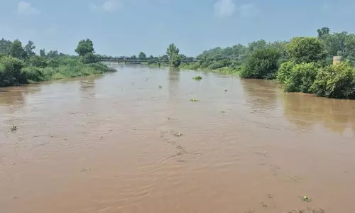 Sirsa में घग्गर का जलस्तर 3 फीट बढ़ा, गांवों में अलर्ट, कृषि भूमि प्रभावित
