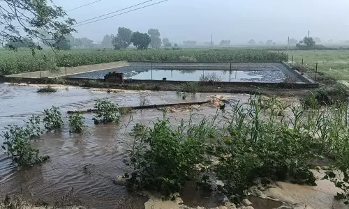 Haryana : नाथूसरी चोपता में नहर टूटी