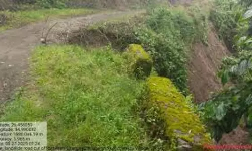 Nagaland : केयू मोपोंग इकाई ने सड़क बहाली की अपील की Nagaland : केयू मोपोंग इकाई ने सड़क बहाली की अपील की