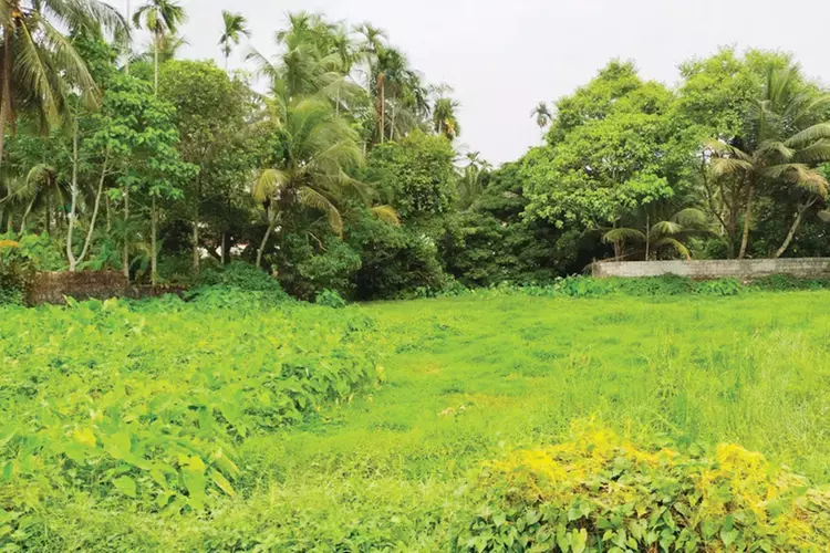 Kerala : उल्लंघनों को उचित मूल्य शुल्क के माध्यम से वैध बनाया जाएगा शुल्क संरचना की व्याख्या