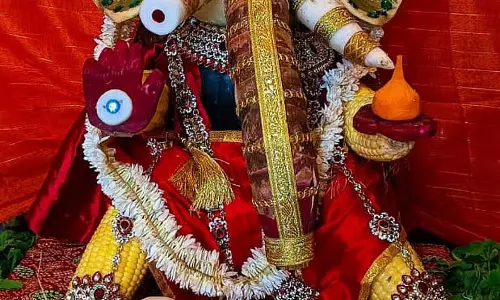 राज्य में गणेश उत्सव की धूम: सड़कों पर स्थापित की गईं गणेश प्रतिमाएं