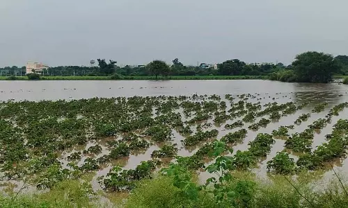 भारी बारिश से घरों में पानी घुसा; पुल और फसलें जलमग्न भारी बारिश से घरों में पानी घुसा; पुल और फसलें जलमग्न