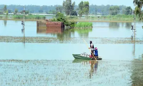 Punjab के बांधों और नदियों में जल स्तर, नवीनतम आंकड़े एक नज़र में