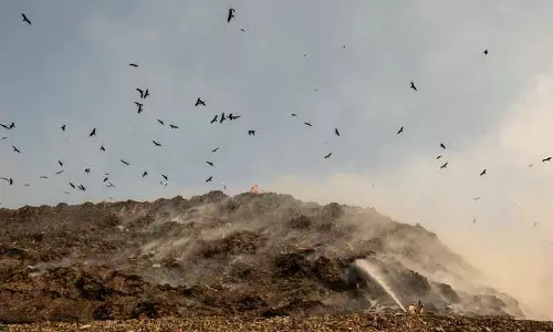 नई परियोजनाओं के लिए डंपिंग स्थलों की पहचान करें हिमाचल प्रदेश: HC