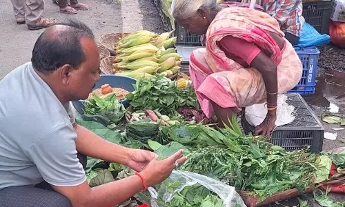 Nuakhai की भावना ने संबलपुर को जकड़ लिया Nuakhai की भावना ने संबलपुर को जकड़ लिया