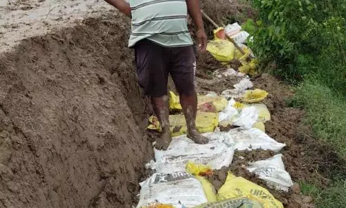 Jalandhar के शाहकोट क्षेत्र के ग्रामीण बाढ़ के खतरे से तटबंधों की रक्षा के लिए अथक प्रयास कर रहे