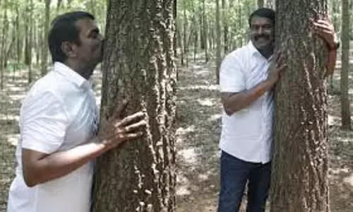 सीमन 30 अगस्त को वृक्ष-थीम पर सम्मेलन आयोजित करेगा सीमन 30 अगस्त को वृक्ष-थीम पर सम्मेलन आयोजित करेगा