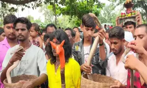 सांपों की शोभयात्रा, यहां के ग्रामीणों ने किया विशेष आयोजन सांपों की शोभयात्रा, यहां के ग्रामीणों ने किया विशेष आयोजन