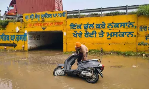 Sahnewal सर्विस लेन उपेक्षा की तस्वीर