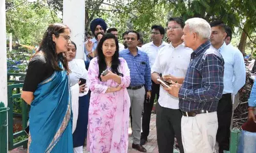 मनसा देवी मंदिर के पास दुकानों पर अवैध कब्जा करने वालों पर मामला दर्ज करें: DC मनसा देवी मंदिर के पास दुकानों पर अवैध कब्जा करने वालों पर मामला दर्ज करें: DC