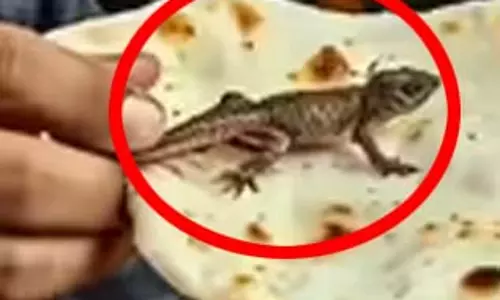 सब्जी में छिपकली, फूड पॉइजनिंग से हाहाकार सब्जी में छिपकली, फूड पॉइजनिंग से हाहाकार