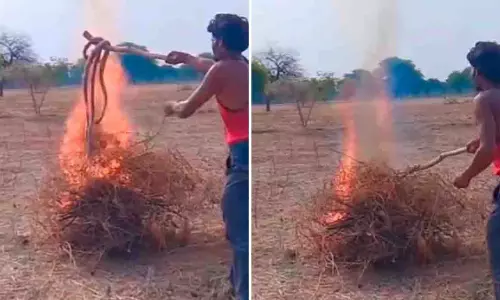 UP: दो भारतीय कोबरा को जिंदा जलाने के आरोप में युवक गिरफ्तार UP: दो भारतीय कोबरा को जिंदा जलाने के आरोप में युवक गिरफ्तार