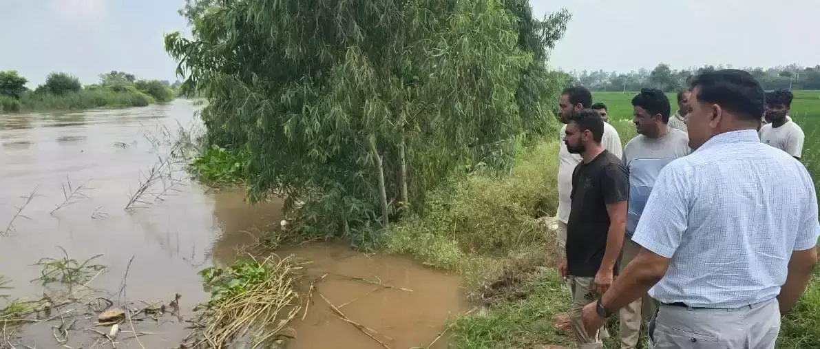 Sirsa: जलस्तर बढ़ने पर सिरसा में सुरक्षा प्रबंध निर्देशित