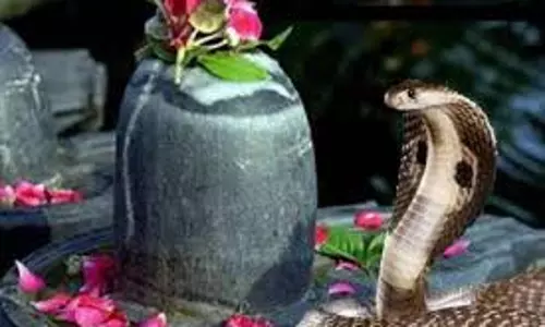 Jammu: विजयपुर में नाग पंचमी की धूम