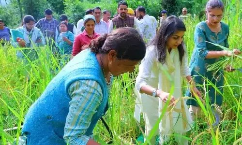 Pauri Garhwal: डुंगरी में जनता ने अधिकारियों को अपनी समस्याएं सुनाई Pauri Garhwal: डुंगरी में जनता ने अधिकारियों को अपनी समस्याएं सुनाई