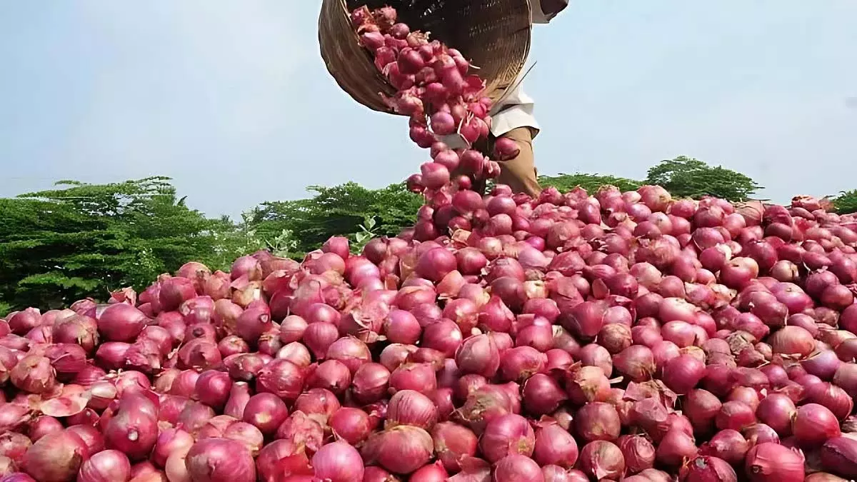 Maharashtra: किसानों का आरोप, चुनाव से पहले केंद्र सरकार जानबूझकर कम कीमत पर प्याज बेच रही है Maharashtra: किसानों का आरोप, चुनाव से पहले केंद्र सरकार जानबूझकर कम कीमत पर प्याज बेच रही है
