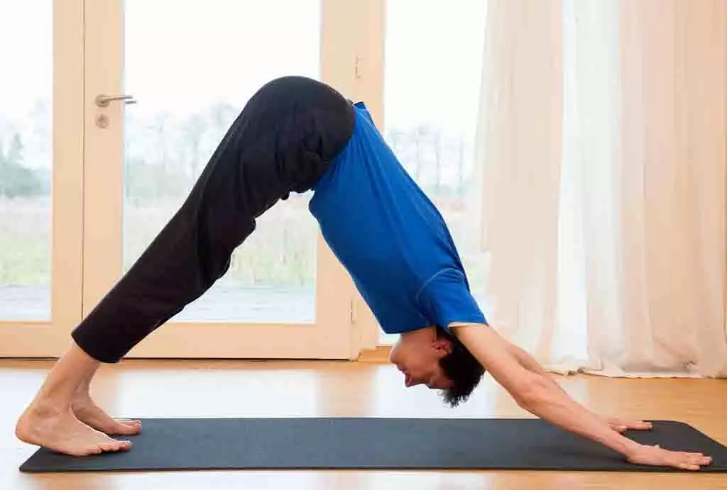 Yoga Tips :अगर आपको बहुत भूख लगती है तो इन योगासनों का अभ्यास करें Yoga Tips :अगर आपको बहुत भूख लगती है तो इन योगासनों का अभ्यास करें