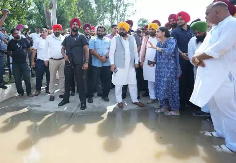 पंजाब के बाढ़ प्रभावित जिलों में राहत और बचाव कार्य तेज करें: Mann to Dy Commissioners पंजाब के बाढ़ प्रभावित जिलों में राहत और बचाव कार्य तेज करें: Mann to Dy Commissioners