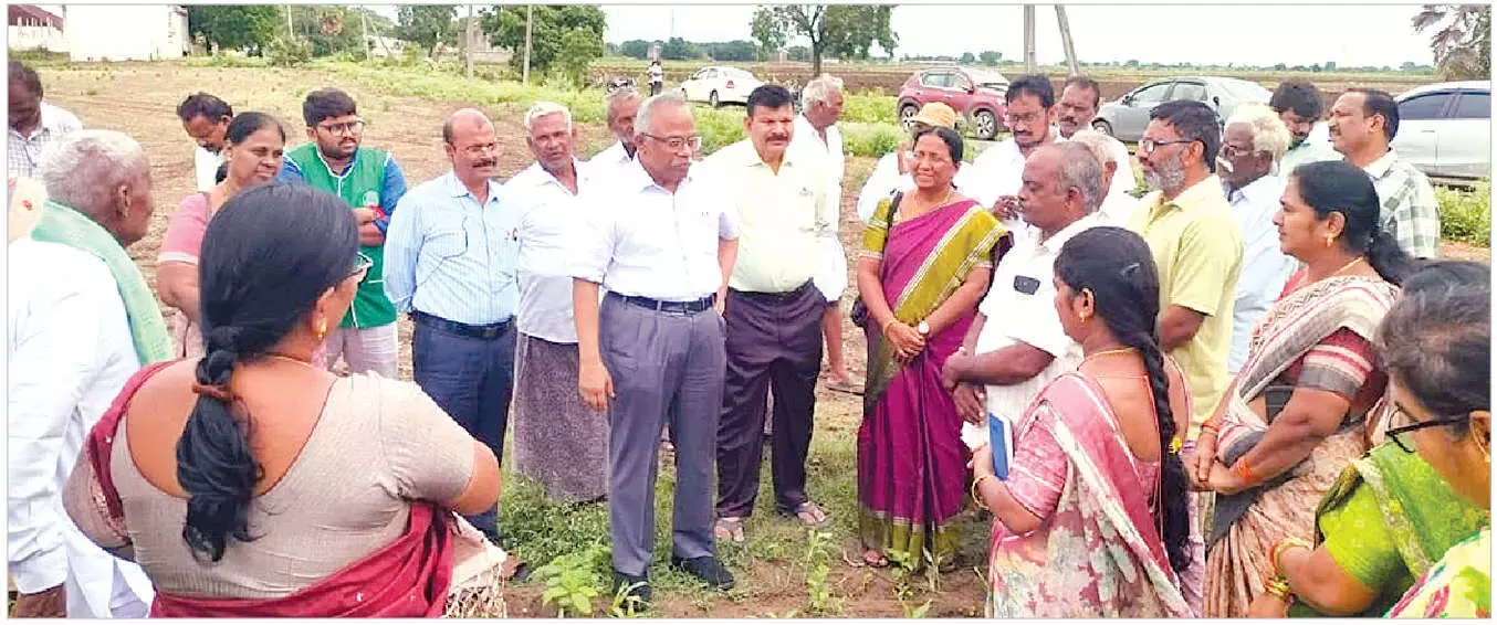 Andhra: किसानों से जैविक पद्धति अपनाने का आग्रह Andhra: किसानों से जैविक पद्धति अपनाने का आग्रह