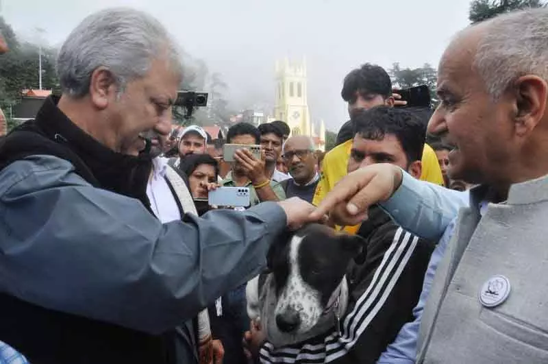 Shimla पशु चिकित्सा अधिकारियों के लिए व्यावहारिक प्रशिक्षण के साथ रेबीज नियंत्रण में अग्रणी Shimla पशु चिकित्सा अधिकारियों के लिए व्यावहारिक प्रशिक्षण के साथ रेबीज नियंत्रण में अग्रणी
