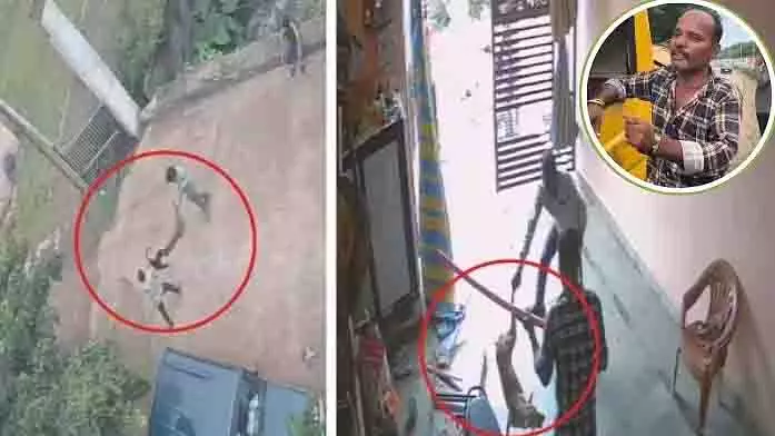 Sagar: आवारा कुत्तों की समस्या पर नगर निगम का रुख स्पष्ट Sagar: आवारा कुत्तों की समस्या पर नगर निगम का रुख स्पष्ट