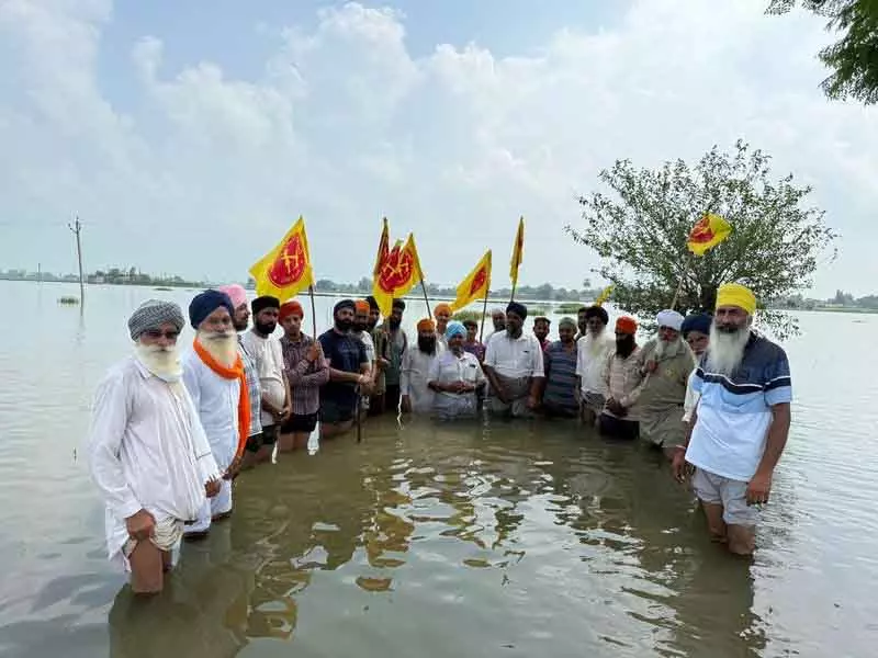 Amritsar: बाढ़ में फसल के नुकसान पर किसानों का विरोध प्रदर्शन Amritsar: बाढ़ में फसल के नुकसान पर किसानों का विरोध प्रदर्शन