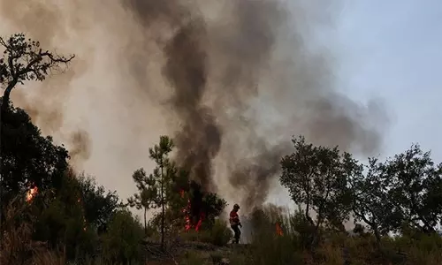 जलवायु परिवर्तन के चलते 2025 में यूरोप रिकॉर्ड जंगल आग की आशंका