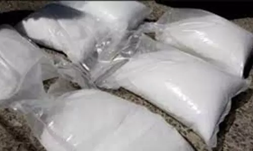 अंतरराष्ट्रीय ड्रग्स तस्कर को रायपुर पुलिस ने पकड़ा, खुलासा दोपहर में