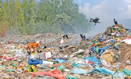 वुलर झील संरक्षण: कचरा डंपिंग रोकने के प्रयासों पर सरकार का हाईकोर्ट में हलफनामा वुलर झील संरक्षण: कचरा डंपिंग रोकने के प्रयासों पर सरकार का हाईकोर्ट में हलफनामा