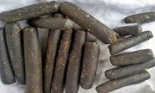 चरस तस्कर गिरफ्तार, पुलिस को कोरबा जिले में मिली बड़ी सफलता