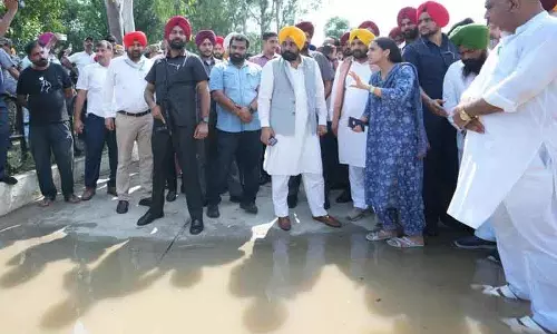 पंजाब के बाढ़ प्रभावित जिलों में राहत और बचाव कार्य तेज करें: Mann to Dy Commissioners