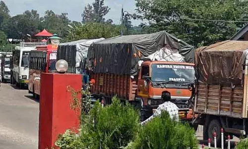 Himachal: पेड़ गिरने से एनएच-503 पर तबाही