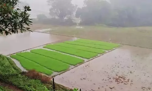 राज्य के कई हिस्सों में भारी बारिश; ऑरेंज अलर्ट घोषित