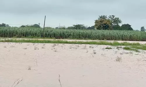 Bidar : लगातार बारिश से लोग सदमे में हैं Bidar : लगातार बारिश से लोग सदमे में हैं