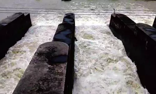 Pong dam का जलस्तर अभी भी खतरे के निशान से ऊपर
