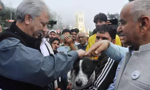 Shimla पशु चिकित्सा अधिकारियों के लिए व्यावहारिक प्रशिक्षण के साथ रेबीज नियंत्रण में अग्रणी