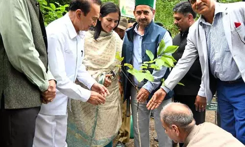 हिमालय की रक्षा के लिए वृक्ष संरक्षण महत्वपूर्ण: Pathania