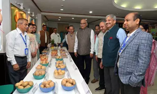 Himachal: प्रयोगशाला से खेत तक, आलू की नई किस्में तैयार