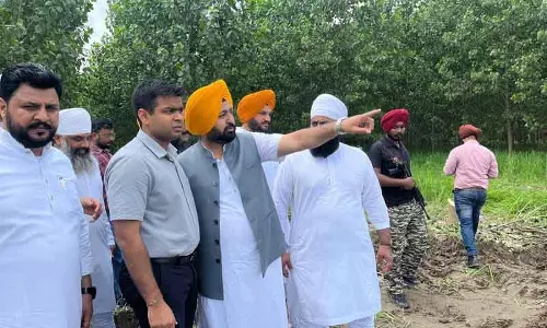 बाढ़ का कहर, Sasrali village में 60 एकड़ धान और चिनार के पेड़ नष्ट