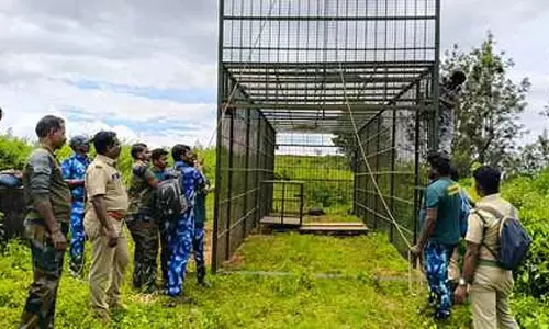 TN के देवरशोलाई में बाघ को पकड़ने के लिए वायनाड से बड़ा पिंजरा मंगवाया गया TN के देवरशोलाई में बाघ को पकड़ने के लिए वायनाड से बड़ा पिंजरा मंगवाया गया