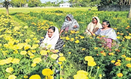 माँग-आपूर्ति का अंतर: फूलों की बढ़ती कीमतों ने त्योहारों पर डाला पानी