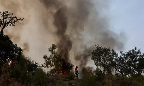 जलवायु परिवर्तन के कारण 2025 का मौसम बिगड़ने से यूरोप को रिकॉर्ड तोड़ जंगल की आग का सामना करना पड़ेगा