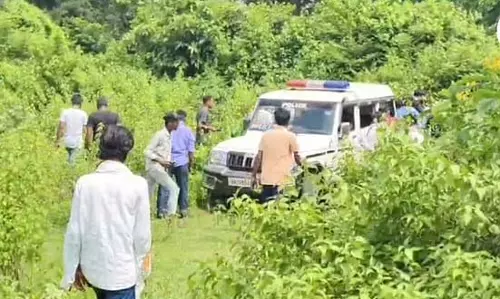 झाड़ियों से युवती का शव बरामद, चेहरा क्षत-विक्षत झाड़ियों से युवती का शव बरामद, चेहरा क्षत-विक्षत